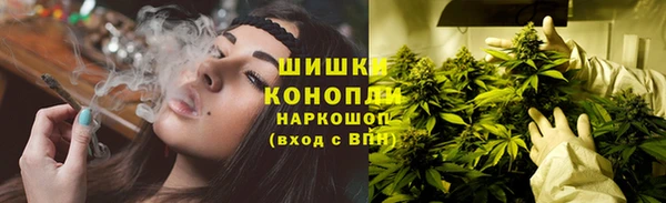 спиды Ладушкин