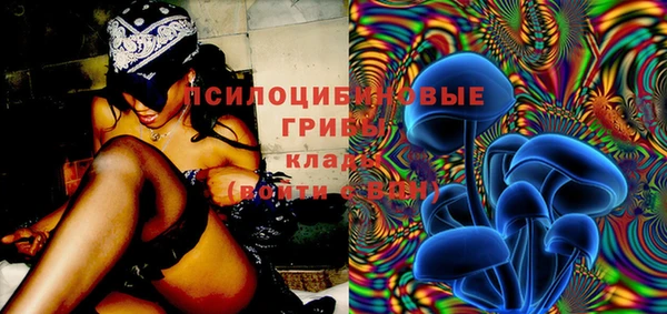 мет Лагань