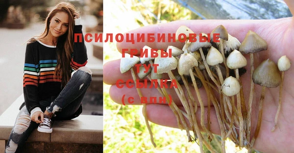 бошки Красноперекопск