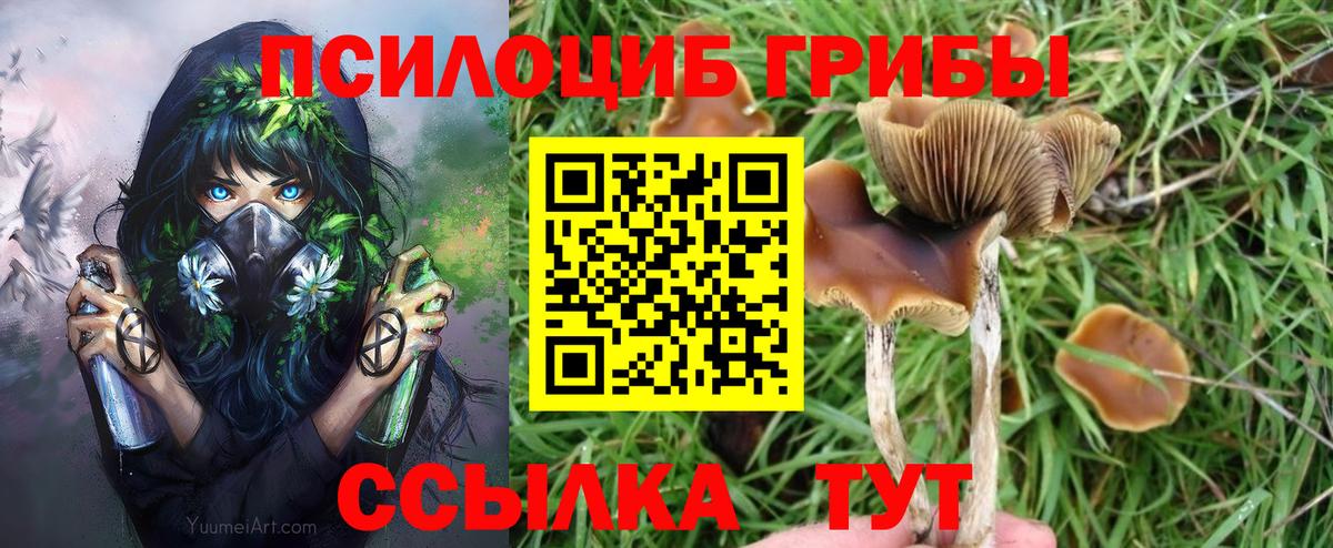 Псилоцибиновые грибы MAGIC MUSHROOMS Кудымкар