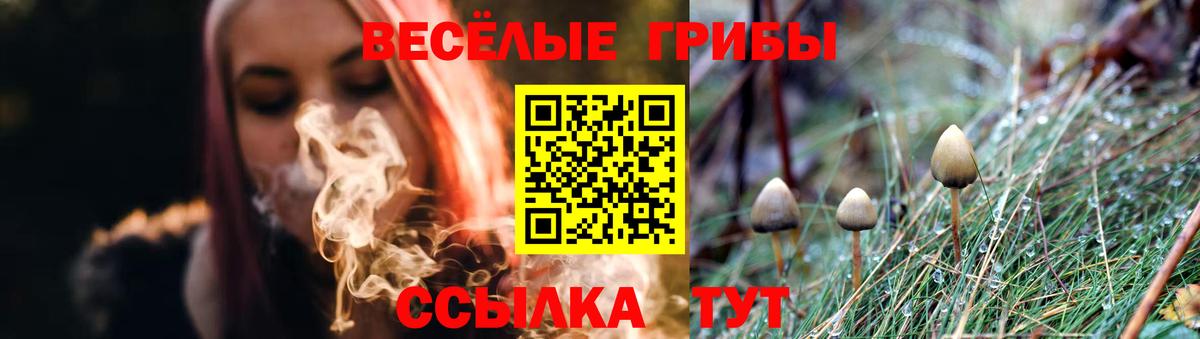 Галлюциногенные грибы прущие грибы  Вход с VPN  Кудымкар 